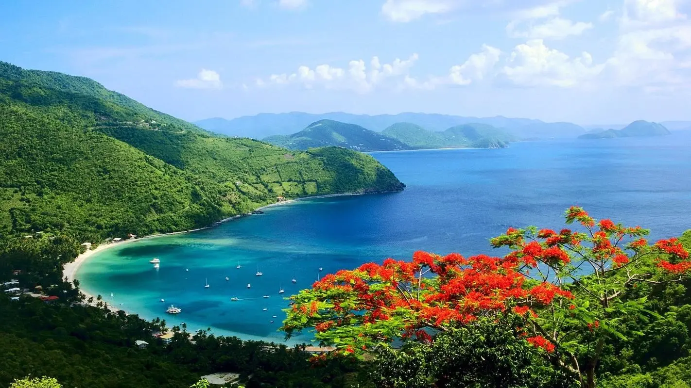 精密智能化